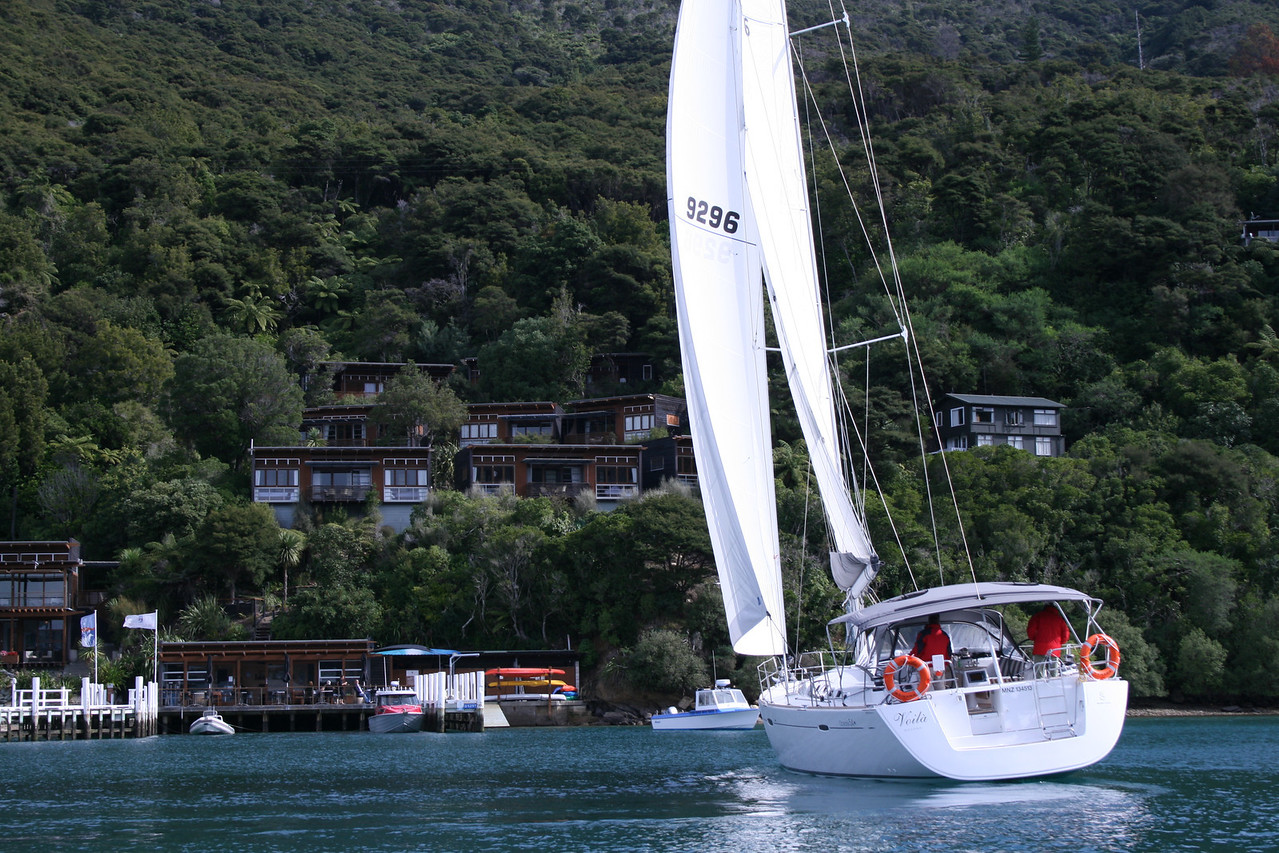 sailing tours nz