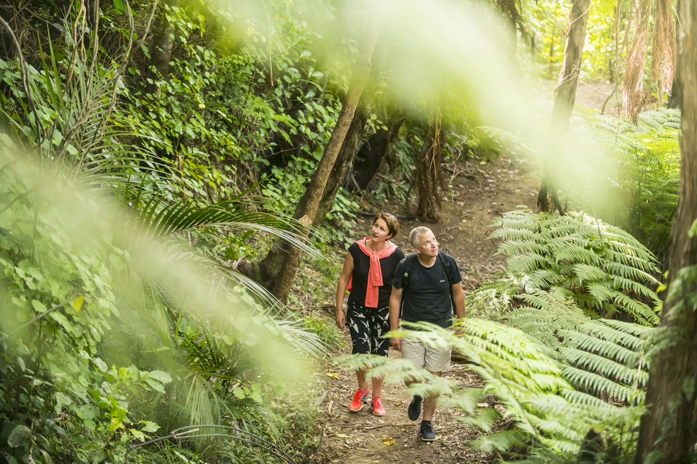 nature walk