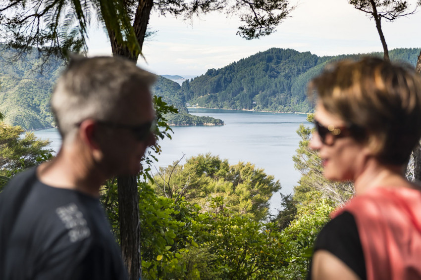 Queen Charlotte Track NZ Luxury Lodge Bay of Many Coves