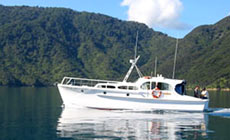 charter motor yacht cruising 2