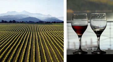 charter wine tours