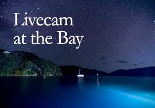 Livecam home page tile2