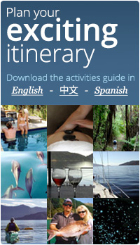 multi lingual itinerary promo